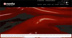 Desktop Screenshot of merefsa.com