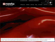 Tablet Screenshot of merefsa.com